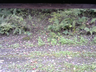 長野県菅平高原 ゆたか山荘 南側 2025/10/10 08:45