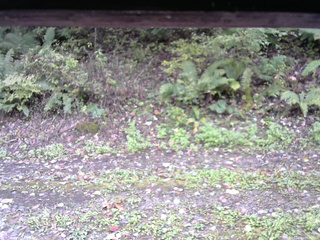 長野県菅平高原 ゆたか山荘 南側 2025/10/10 09:00