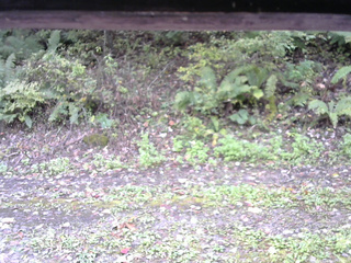 長野県菅平高原 ゆたか山荘 南側 2025/10/10 09:15