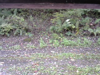 長野県菅平高原 ゆたか山荘 南側 2025/10/10 09:30