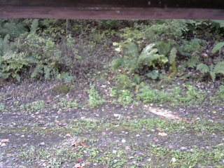 長野県菅平高原 ゆたか山荘 南側 2025/10/10 09:45