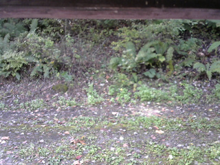 長野県菅平高原 ゆたか山荘 南側 2025/10/10 10:00