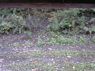 長野県菅平高原 ゆたか山荘 南側 2025/10/10 10:15