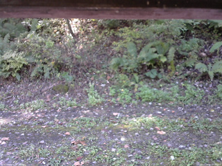 長野県菅平高原 ゆたか山荘 南側 2025/10/10 10:30