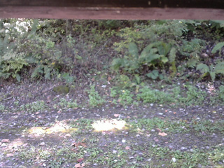 長野県菅平高原 ゆたか山荘 南側 2025/10/10 10:45