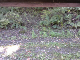 長野県菅平高原 ゆたか山荘 南側 2025/10/10 11:00