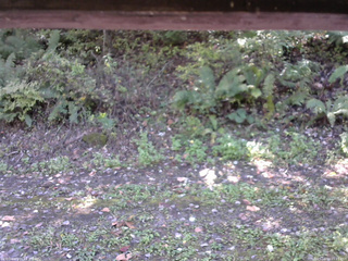 長野県菅平高原 ゆたか山荘 南側 2025/10/10 11:15