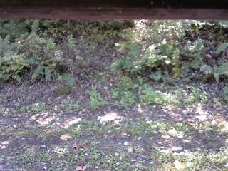 長野県菅平高原 ゆたか山荘 南側 2025/10/10 11:30