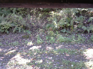 長野県菅平高原 ゆたか山荘 南側 2025/10/10 11:45