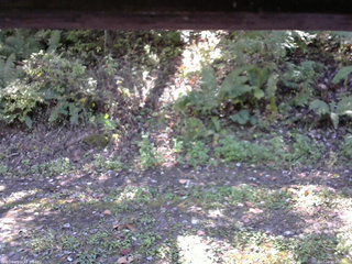 長野県菅平高原 ゆたか山荘 南側 2025/10/10 12:00