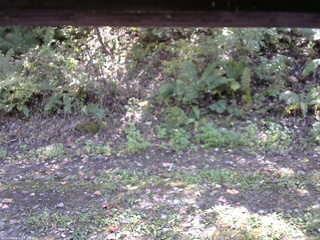 長野県菅平高原 ゆたか山荘 南側 2025/10/10 12:15