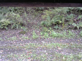 長野県菅平高原 ゆたか山荘 南側 2025/10/10 12:30