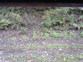 長野県菅平高原 ゆたか山荘 南側 2025/10/10 12:45