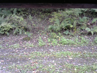 長野県菅平高原 ゆたか山荘 南側 2025/10/10 13:30