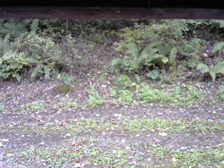 長野県菅平高原 ゆたか山荘 南側 2025/10/10 13:45