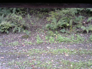 長野県菅平高原 ゆたか山荘 南側 2025/10/10 14:45