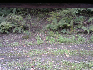 長野県菅平高原 ゆたか山荘 南側 2025/10/10 16:00