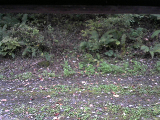 長野県菅平高原 ゆたか山荘 南側 2025/10/10 17:00