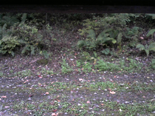 長野県菅平高原 ゆたか山荘 南側 2025/10/10 17:15