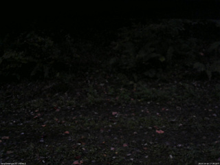 長野県菅平高原 ゆたか山荘 南側 2025/10/10 17:30