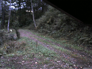 長野県菅平高原 ゆたか山荘 東側(坂下) 2025/10/10 05:45