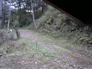 長野県菅平高原 ゆたか山荘 東側(坂下) 2025/10/10 06:00