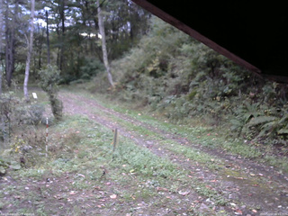 長野県菅平高原 ゆたか山荘 東側(坂下) 2025/10/10 06:15