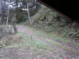 長野県菅平高原 ゆたか山荘 東側(坂下) 2025/10/10 06:45