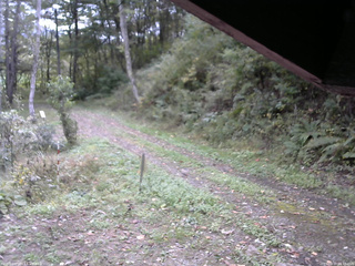 長野県菅平高原 ゆたか山荘 東側(坂下) 2025/10/10 09:15
