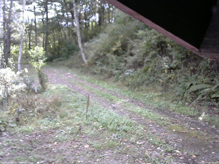 長野県菅平高原 ゆたか山荘 東側(坂下) 2025/10/10 09:30