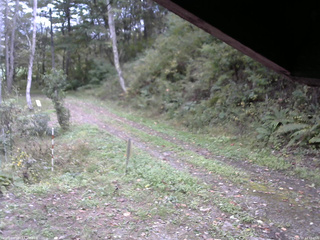 長野県菅平高原 ゆたか山荘 東側(坂下) 2025/10/10 13:15