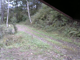 長野県菅平高原 ゆたか山荘 東側(坂下) 2025/10/10 13:30