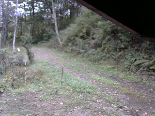 長野県菅平高原 ゆたか山荘 東側(坂下) 2025/10/10 16:00
