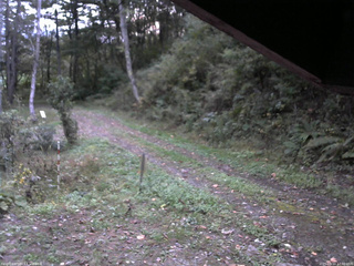 長野県菅平高原 ゆたか山荘 東側(坂下) 2025/10/10 17:00