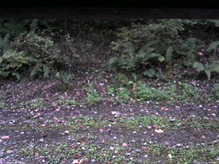 長野県菅平高原 ゆたか山荘 南側 2025/10/11 06:00