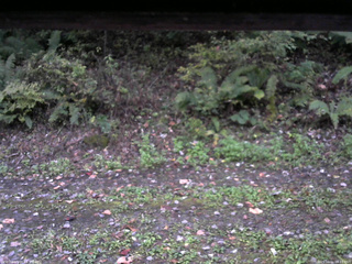 長野県菅平高原 ゆたか山荘 南側 2025/10/11 06:15