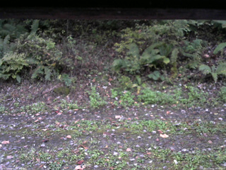 長野県菅平高原 ゆたか山荘 南側 2025/10/11 06:30