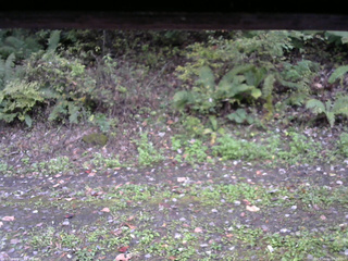 長野県菅平高原 ゆたか山荘 南側 2025/10/11 07:30