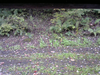 長野県菅平高原 ゆたか山荘 南側 2025/10/11 08:00