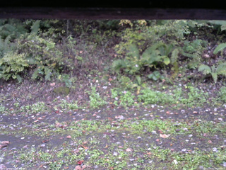 長野県菅平高原 ゆたか山荘 南側 2025/10/11 09:00