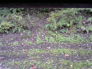 長野県菅平高原 ゆたか山荘 南側 2025/10/11 10:00