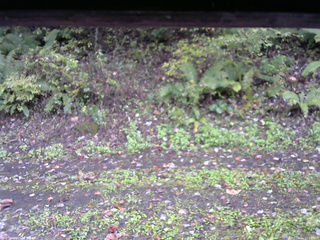 長野県菅平高原 ゆたか山荘 南側 2025/10/11 10:15