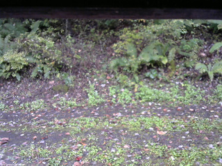 長野県菅平高原 ゆたか山荘 南側 2025/10/11 10:30