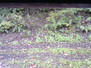 長野県菅平高原 ゆたか山荘 南側 2025/10/11 11:00