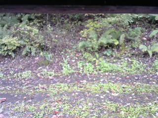 長野県菅平高原 ゆたか山荘 南側 2025/10/11 11:15