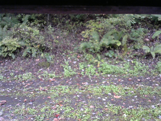 長野県菅平高原 ゆたか山荘 南側 2025/10/11 11:30