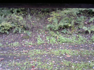 長野県菅平高原 ゆたか山荘 南側 2025/10/11 12:15