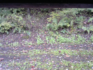 長野県菅平高原 ゆたか山荘 南側 2025/10/11 13:00