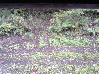 長野県菅平高原 ゆたか山荘 南側 2025/10/11 13:30