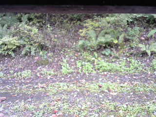 長野県菅平高原 ゆたか山荘 南側 2025/10/11 13:45